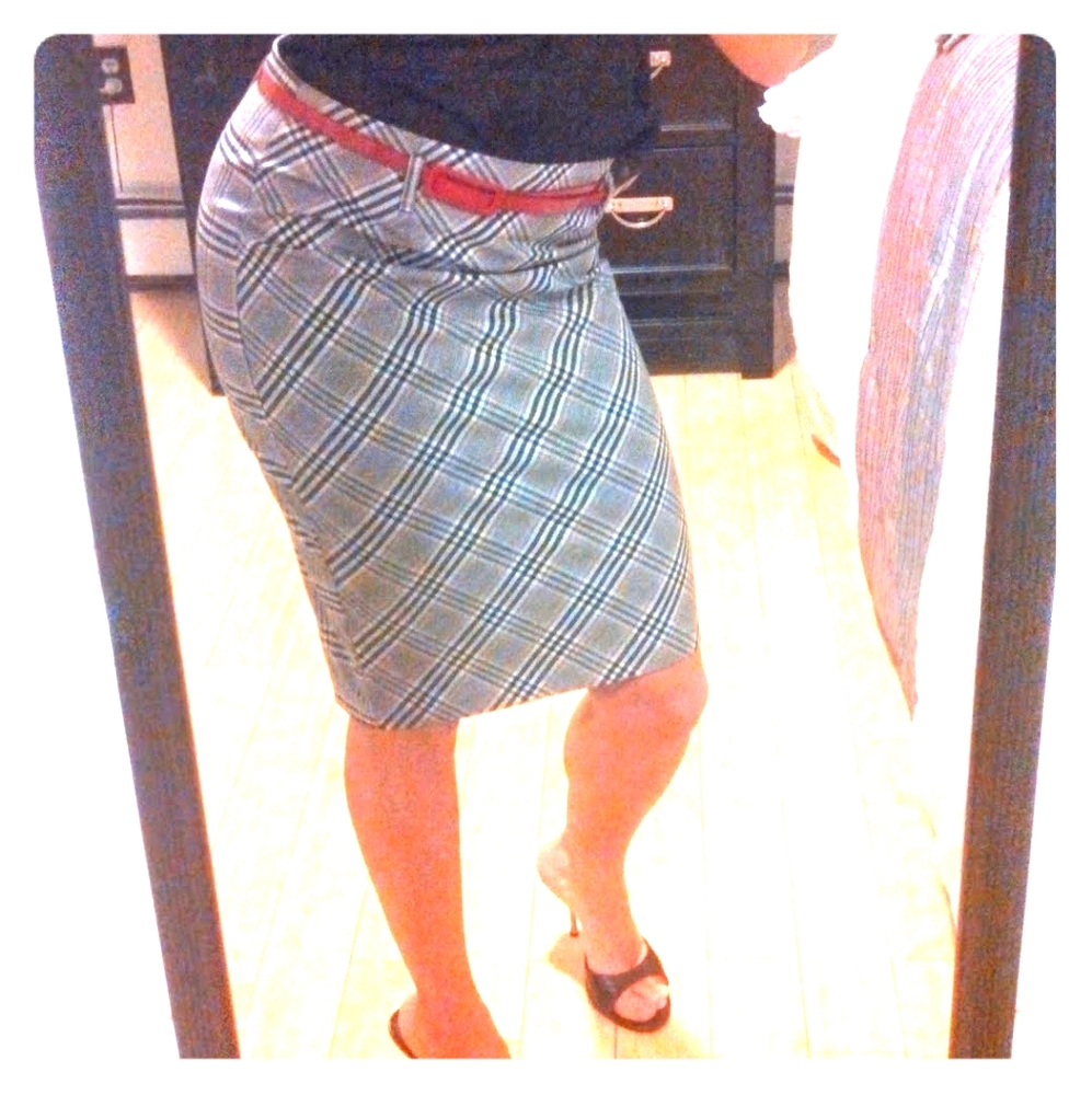 Gorgeous Pencil Skirt Small